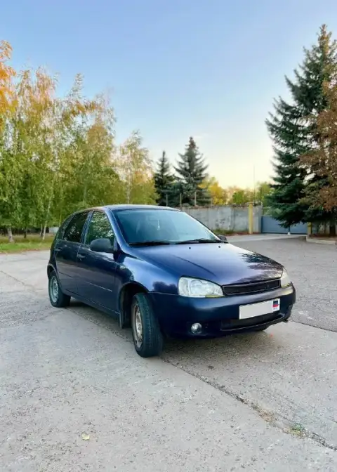 Продаю ваз калину
Авто 2007 года выпуска. Я второй владелец с 2014 года.
В машине установлен газ про... - фотография