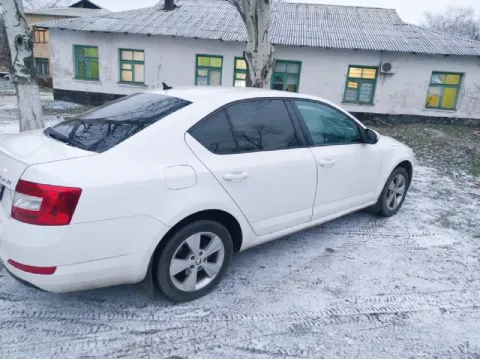 Skoda octavia a7 год выпуска: 2013 родной пробег автомобиля: 190 тыс. км : 1.8 турбо ( 180 л. с ) ко... - фотография