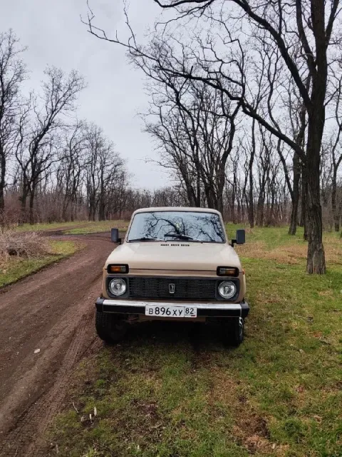 Продам ваз 2121. год выпуска 1987. автомобиль в практически идеальном состоянии для своих лет. в маш... - фотография