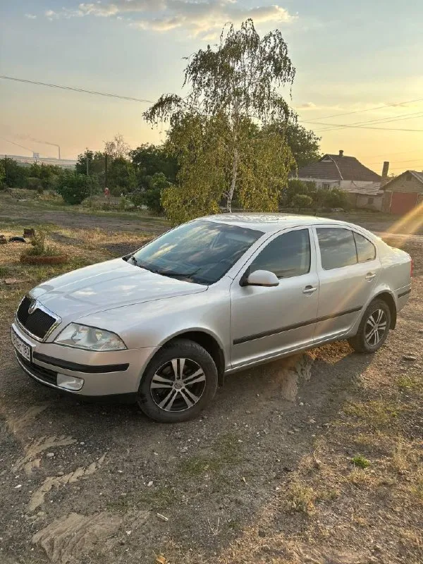 Продам skoda октавия а5 2006 года 1.6 mpi на механике в хорошем состоянии 800000 осмотр город шахтёрск +79494252898
📞 Звоните: +7(949)4252898 - фотография - 1
