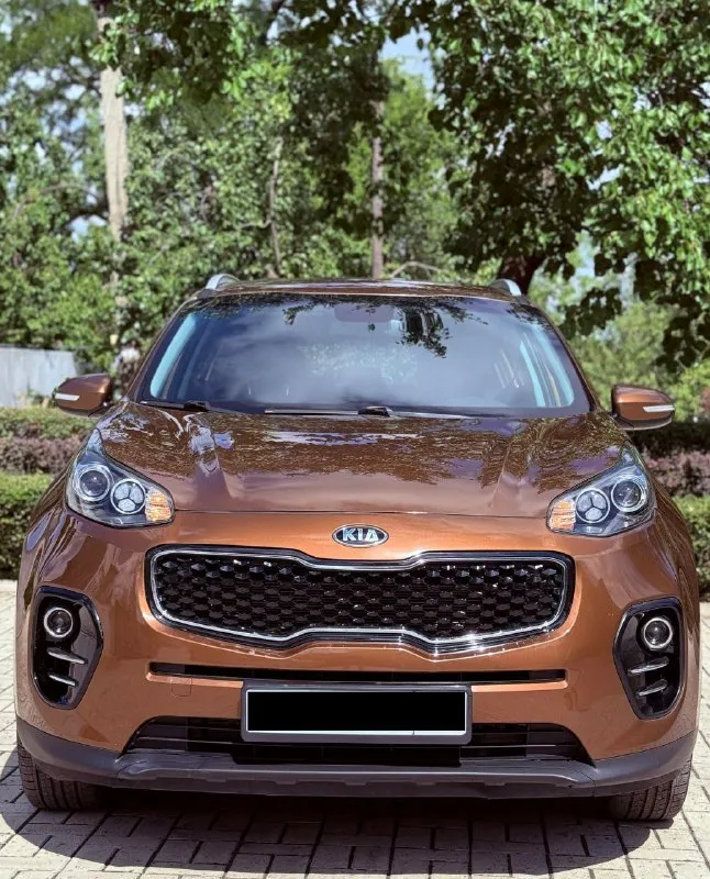 Продам автомобиль kia sportage 2.0 ат - 2018 года выпуска!родной пробег.
Документация кристально чистая!единственный собственник за всё время эксплуатации!без дтп. Продажа по дкп или мрэо.
Кузов в идеальном состоянии, без гнили и тому подобного!
Двигатель 2.0 150л. С - работают идеально, не троит, не дизелит!
Коробка полноценный автомат - не пинает, переключается плавно, без задержек!
Ходовая часть как у нового авто.
Без вложений, от слова совсем.
Электрика работает в штатном режиме, все моргает, включается.
В авто есть все для комфортной езды!
На все вас интересующиеся вопросы отвечу по телефону.
Цена:1.650.000р
Номер:+79495129346
Номер:+79496208074
Г. Макеевка - фотография - 6