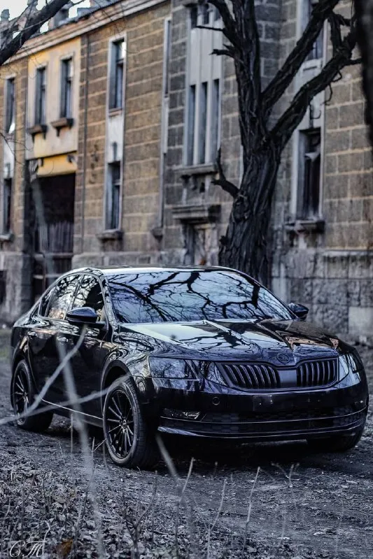 Продам skoda octavia a7, 1.6mpi, автомат 6ст, ноябрь 2017 г. В. , пробег 183, без вложений, салон кожа с алькантарой, шумоизоляция (все кроме крыши, пола и арок), музыка усилитель динамики, акт. Буфер, андроид магнитола 10.1 tyes. 1.6 🍋 енакиево, торг. Доп вопросы по телефону 79493285024
📞 Звоните: +7(949)3285024 - фотография - 6