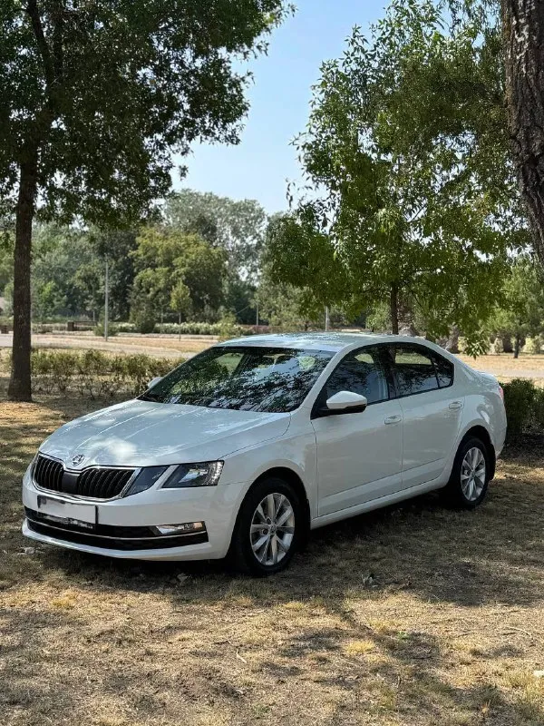 🇨🇿 Skoda octavia a7

💰Цена: 1 555 000р
🏢Город: мариуполь
📅Год выпуска: 2019
🧾Пробег: 148 186 км.
⚙️Двигатель: 1.6
⛽Топливо: бензин
⚙️Кпп: механика

📞 Телефон:

+7-949-727-41-51
+7-989-263-55-56
+7-949-551-91-52

💾 Описание:

✅ Один владелец, птс оригинал.
✅ Надежный двигатель cwv
✅ Техническая часть на 5+
✅ Оригинальный пробег.
✅ Родная краска 💯%
✅ Рестайлинг.

Улица шевченко 269

⚠️Бесплатно доставим этот или другой автомобиль в донецк, макеевку, бердянск, мелитополь и другие города новых территорий после детального видеообзора со всевозможными диагностиками⚠️

🏦 Возможна продажа в кредит по двум документам. - фотография - 1