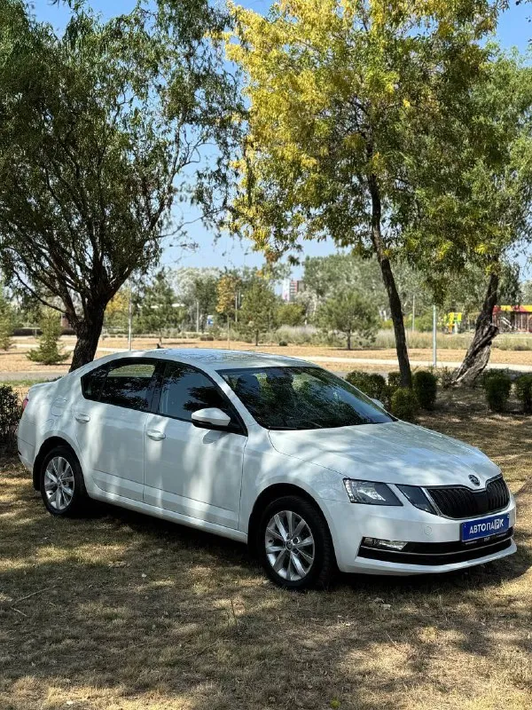 🇨🇿 Skoda octavia a7

💰Цена: 1 555 000р
🏢Город: мариуполь
📅Год выпуска: 2019
🧾Пробег: 148 186 км.
⚙️Двигатель: 1.6
⛽Топливо: бензин
⚙️Кпп: механика

📞 Телефон:

+7-949-727-41-51
+7-989-263-55-56
+7-949-551-91-52

💾 Описание:

✅ Один владелец, птс оригинал.
✅ Надежный двигатель cwv
✅ Техническая часть на 5+
✅ Оригинальный пробег.
✅ Родная краска 💯%
✅ Рестайлинг.

Улица шевченко 269

⚠️Бесплатно доставим этот или другой автомобиль в донецк, макеевку, бердянск, мелитополь и другие города новых территорий после детального видеообзора со всевозможными диагностиками⚠️

🏦 Возможна продажа в кредит по двум документам. - фотография - 3