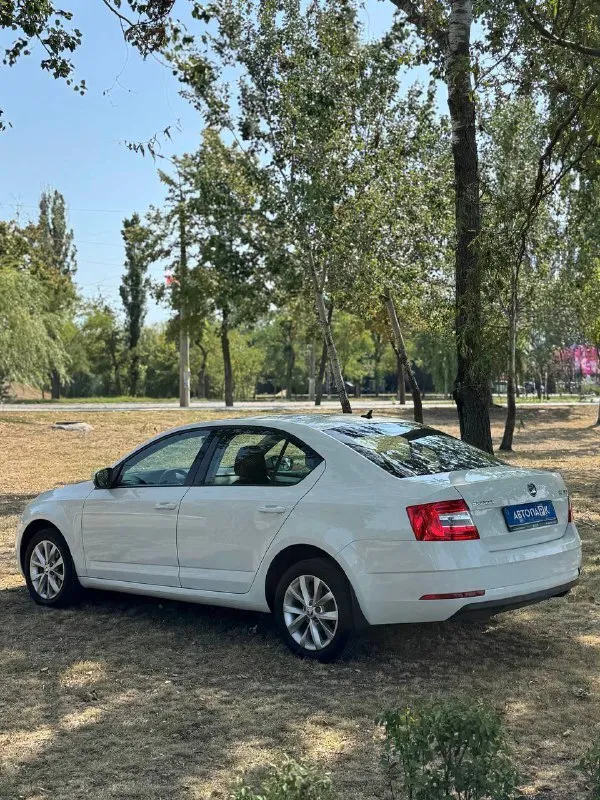 🇨🇿 Skoda octavia a7

💰Цена: 1 555 000р
🏢Город: мариуполь
📅Год выпуска: 2019
🧾Пробег: 148 186 км.
⚙️Двигатель: 1.6
⛽Топливо: бензин
⚙️Кпп: механика

📞 Телефон:

+7-949-727-41-51
+7-989-263-55-56
+7-949-551-91-52

💾 Описание:

✅ Один владелец, птс оригинал.
✅ Надежный двигатель cwv
✅ Техническая часть на 5+
✅ Оригинальный пробег.
✅ Родная краска 💯%
✅ Рестайлинг.

Улица шевченко 269

⚠️Бесплатно доставим этот или другой автомобиль в донецк, макеевку, бердянск, мелитополь и другие города новых территорий после детального видеообзора со всевозможными диагностиками⚠️

🏦 Возможна продажа в кредит по двум документам. - фотография - 4