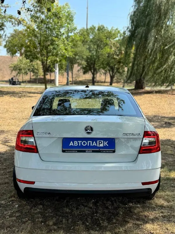 🇨🇿 Skoda octavia a7

💰Цена: 1 555 000р
🏢Город: мариуполь
📅Год выпуска: 2019
🧾Пробег: 148 186 км.
⚙️Двигатель: 1.6
⛽Топливо: бензин
⚙️Кпп: механика

📞 Телефон:

+7-949-727-41-51
+7-989-263-55-56
+7-949-551-91-52

💾 Описание:

✅ Один владелец, птс оригинал.
✅ Надежный двигатель cwv
✅ Техническая часть на 5+
✅ Оригинальный пробег.
✅ Родная краска 💯%
✅ Рестайлинг.

Улица шевченко 269

⚠️Бесплатно доставим этот или другой автомобиль в донецк, макеевку, бердянск, мелитополь и другие города новых территорий после детального видеообзора со всевозможными диагностиками⚠️

🏦 Возможна продажа в кредит по двум документам. - фотография - 5