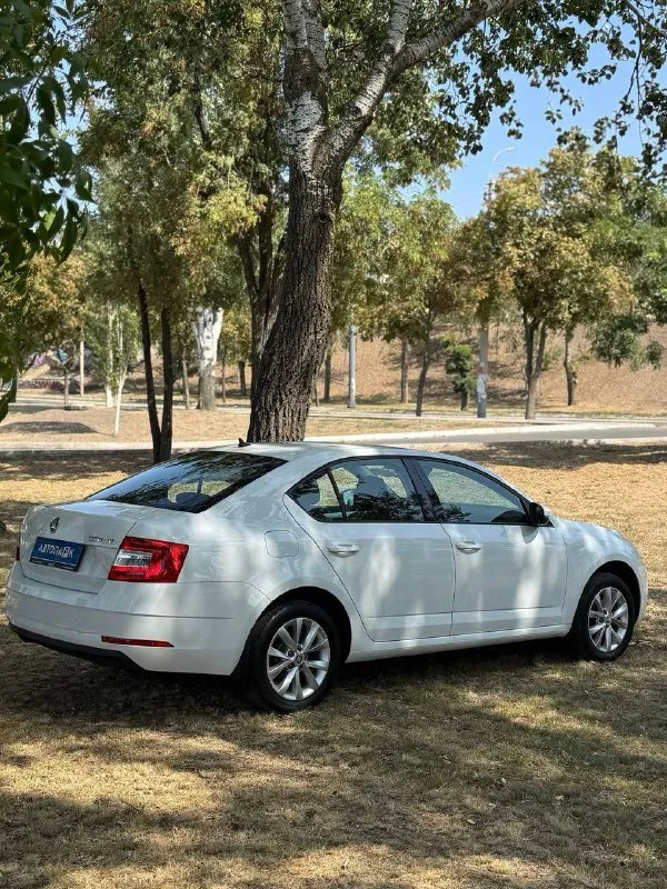 🇨🇿 Skoda octavia a7

💰Цена: 1 555 000р
🏢Город: мариуполь
📅Год выпуска: 2019
🧾Пробег: 148 186 км.
⚙️Двигатель: 1.6
⛽Топливо: бензин
⚙️Кпп: механика

📞 Телефон:

+7-949-727-41-51
+7-989-263-55-56
+7-949-551-91-52

💾 Описание:

✅ Один владелец, птс оригинал.
✅ Надежный двигатель cwv
✅ Техническая часть на 5+
✅ Оригинальный пробег.
✅ Родная краска 💯%
✅ Рестайлинг.

Улица шевченко 269

⚠️Бесплатно доставим этот или другой автомобиль в донецк, макеевку, бердянск, мелитополь и другие города новых территорий после детального видеообзора со всевозможными диагностиками⚠️

🏦 Возможна продажа в кредит по двум документам. - фотография - 6