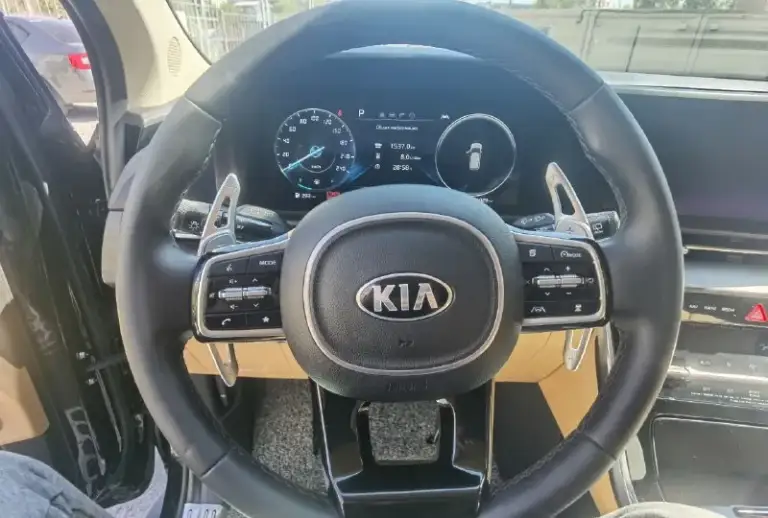 Kia carnival
9Мест
2020
2,2 D
Акпп 8
31.000 Км
2Wd
Signature
Ростов на дону
Цена: 4.100.000
+79282126161
Авто из кореи. Отличное состояние. Оригинальный пробег. Максимальная комплектация. Состояние отличное. Госномер обсуждается отдельно - фотография - 6