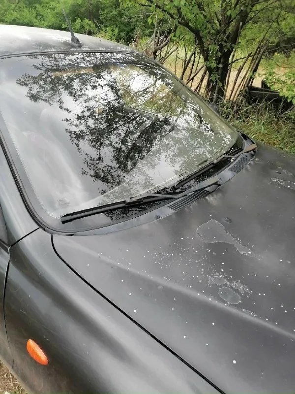 Продам daewoo сэнс пробег 244тысячи год 2008 из косяков полез лак на крыше капоте и багажнике, шпакли нигде нет вся в родне. Пороги, арки живые, без дыр и гнили. Цена 160 000₽ торг у капота. Г снежное +7 (949) 3726221
📞 Звоните: +7(949)3726221 - фотография - 5