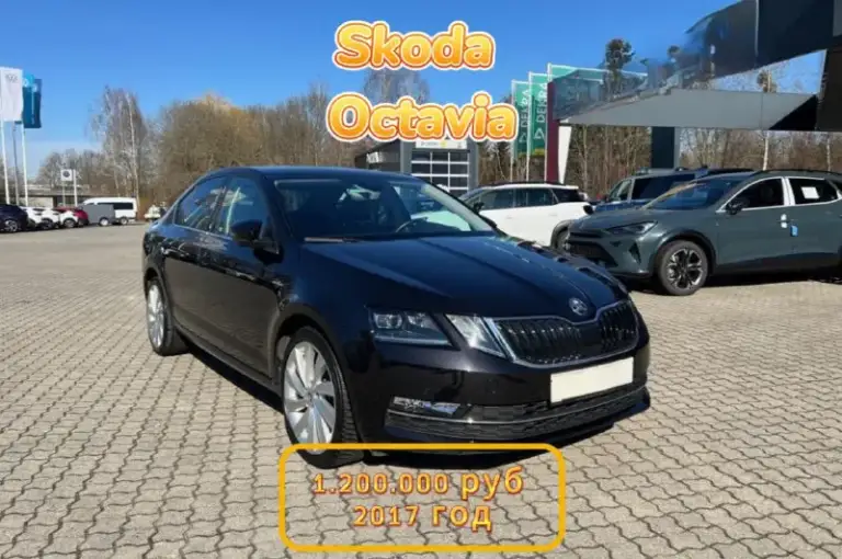 Логика авто - ваш надежный партнёр в мире авто!!!
🔥Хотите приобрести автомобиль тогда вам к нам!🔥
Toyota rav 4 2022 год - 2.150.000 руб
Honda cr-v 2022 год - 2.200.000 руб
Bmw x7 2021 год - 5.750.000 руб
Volkswagen t5 multivan 2015 год - 1.900.000 руб
Nissan juke 2023 год - 1.490.000 руб
Skoda octavia 2017 год - 1.200.000 руб
— Более 5 лет на рынке — мы знаем, как сделать процесс максимально комфортным для вас!
— Десятки довольных клиентов — наши отзывы говорят сами за себя.
— Ответственность и пунктуальность — мы ценим ваше время и доверие.
Но для тех, кто не хочет переплачивать или садиться на китайца есть выход — канал логика авто - фотография - 6