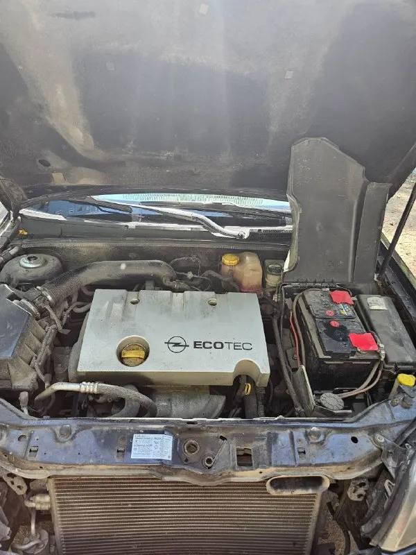 Opel vectra c 2002г
Двигатель: 1.8 бензин
Пробег: 305000
Коробка: механика
Комплектация: электропривод боковых зеркал, электроподогрев зеркал, регулировка передних сидений (передние сиденья с регулировкой по высоте ), поясничная опора в передних сиденьях, разделительный подлокотник спереди, разделительный подлокотник сзади, центральный замок, ключ ду (дистанционный ключ), электрические стеклоподъемники передние, abs, esp. Tcs, кондиционер ( раздельный климат-контроль 2 зоны ), запасное колесо.
Есть нюансы по лкп. Двигатель работает ровно. Обслуживалась машина в срок, все расходники менялись вовремя. Полностью новая подвеска, перебрана тормозная система.
2 Комплекта ключей.
Цена: 500.000р + торг
Осмотр донецк - кировский район, текстильщик
Контакты: +79493181444 ( telegram )
📞 Звоните: +7(949)3181444 - фотография - 7