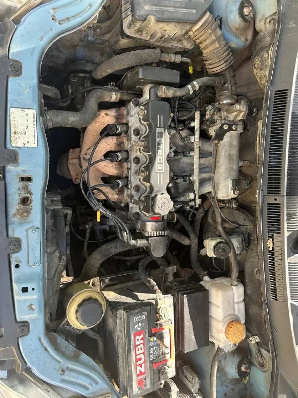Chevrolet авео. 2007г
Собственник владею 2 года переоформление без проблем
Кузов в хорошем состоянии
Рыжья гнили дыр нет.
Пороги дно целое все обработано не варилось все родное целое
Стаканы ланжероны целые.
Салон чистый без дыр не затерт
За авто следили
Ходовая часть вся сделана как мячик
Техническая часть на отлично все работает ошибок нет
Все жидкости на месте. Не че не где не течет
5.09.25.
Замена грм
Помпа
Термостат
Провода
Масло
Фильтр воздух
Свечи
Антифриз
Патрубки
Тормозная жидкость
Жидкость гура
Тормозные диски
На всю замену есть заказ наряд.
Авто в дтп не участвовал
Цена. 435к. + торг у авто
Номер +79495833673
Мариуполь
📞 Звоните: +7(949)5833673 - фотография - 1