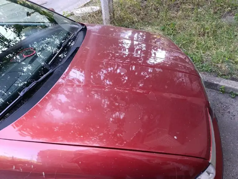 Продам skoda октавию тур 2000. Год. 2, литра, машина просто самолёт. Кандёр, абс, подогрев сидений перед, зеркала с подогревом, рулю 2, варианта меняет положе, музыка с буфером, андроид 7, дюймов, задняя камера, 650. Тыщь. Торг у капота донецк 7949 7177077
📞 Звоните: +7(949)7177077 - фотография - 4