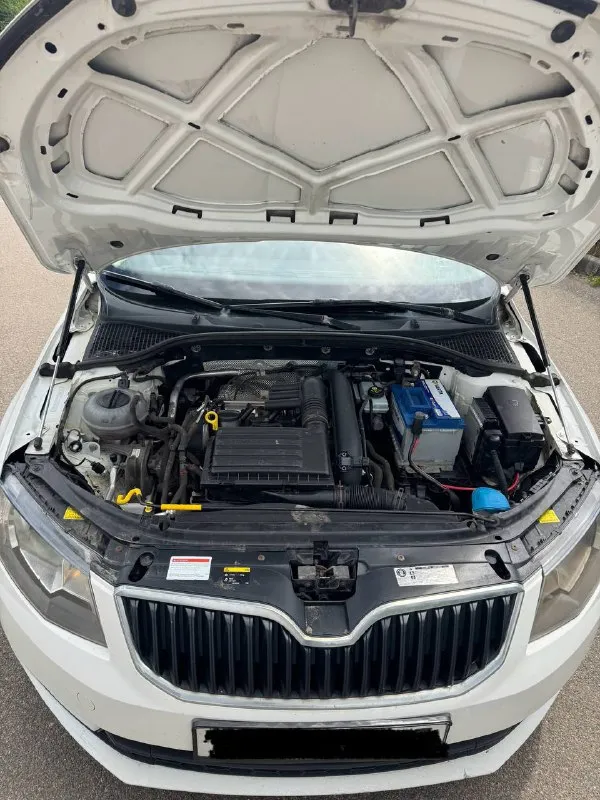 Продаю skoda octavia а7 ✅
Год 2014✅
Мотор 1.4 турбо ✅
Коробка механическая ✅
Без дтп ✅
Машина чешской сборки✅
2014 Год(машина всю жизнь в одних руках с автосалона)
Механическая трансмиссия
237 000 Пробега
Масло не кушает, в отличном состоянии, рыжиков и гнили нет, отличная динамика и управляемость, кондиционер работает все подогревы работают, нет ни единой ошибки, ничего не стучит, не гремит, не торохтит, салон в отличном состоянии, ничего не затерто и не замято,17 кованные диски на резине мишлен, зима на оригинальных дисках шипованых шинах(тоже мишлен), за машиной следили и обслуживали раньше положенного времени, замена масла каждые 6000км, колодки и тормозные диски в круг ate, по машине ничего делать не нужно, сел и поехал куда угодно, уверен кто первый приедет, тот и заберет.
За более подробной информацией звоните.
Цена: 955.000

Осмотр: г. Макеевка
Телефон для связи +7 949 485 64 94 (телеграмм) - фотография - 5