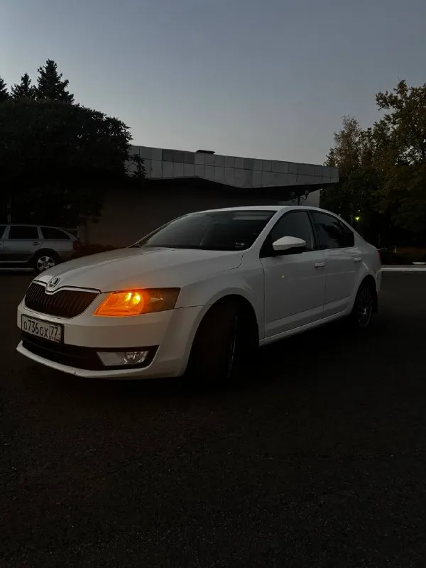 Продам skoda octavia а7 1.4 tsi 2014 г. В ✅(чешской сборки, не путайте с калугой)
Автомобиль в идеальном состоянии, двигатель 1.4 tsi обслужен от а до я,
Родной пробег 235 000 км,
Комплектация очень богатая : 2х зонный климат контроль, подогревы сидений, туманки, круиз контроль, датчик света и дождя, датчик спущенных колес, складываемые электро зеркала с подогревом, полный эл. Стекло пакет, сигнализация, кованные диски на летней резине, так же зима на родных легкосплавных дисках, тормозные диски и колодки новые(оригинал), машина не была в дтп,1 хозяин с автосалона, авто останетесь довольны, стекла все родные включая лобовое !
Стоимость авто: ✅ 890 000 рублей ✅

Телефон для связи: +7 949 485 64 94 - фотография - 1