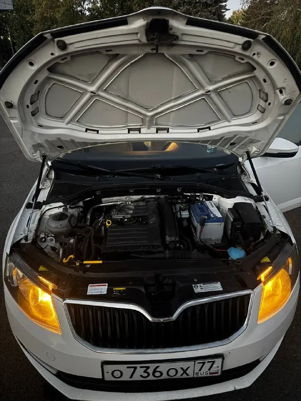 Продам skoda octavia а7 1.4 tsi 2014 г. В ✅(чешской сборки, не путайте с калугой)
Автомобиль в идеальном состоянии, двигатель 1.4 tsi обслужен от а до я,
Родной пробег 235 000 км,
Комплектация очень богатая : 2х зонный климат контроль, подогревы сидений, туманки, круиз контроль, датчик света и дождя, датчик спущенных колес, складываемые электро зеркала с подогревом, полный эл. Стекло пакет, сигнализация, кованные диски на летней резине, так же зима на родных легкосплавных дисках, тормозные диски и колодки новые(оригинал), машина не была в дтп,1 хозяин с автосалона, авто останетесь довольны, стекла все родные включая лобовое !
Стоимость авто: ✅ 890 000 рублей ✅

Телефон для связи: +7 949 485 64 94 - фотография - 10