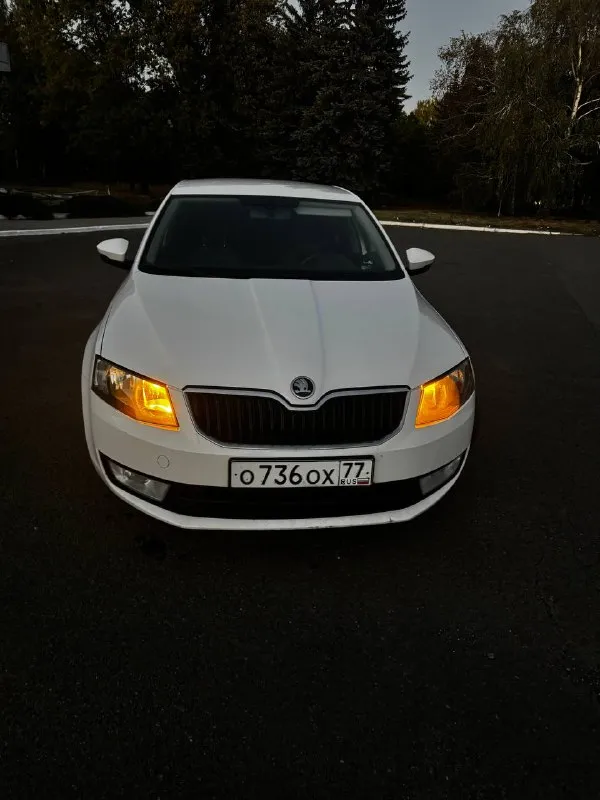 Продам skoda octavia а7 1.4 tsi 2014 г. В ✅(чешской сборки, не путайте с калугой)
Автомобиль в идеальном состоянии, двигатель 1.4 tsi обслужен от а до я,
Родной пробег 235 000 км,
Комплектация очень богатая : 2х зонный климат контроль, подогревы сидений, туманки, круиз контроль, датчик света и дождя, датчик спущенных колес, складываемые электро зеркала с подогревом, полный эл. Стекло пакет, сигнализация, кованные диски на летней резине, так же зима на родных легкосплавных дисках, тормозные диски и колодки новые(оригинал), машина не была в дтп,1 хозяин с автосалона, авто останетесь довольны, стекла все родные включая лобовое !
Стоимость авто: ✅ 890 000 рублей ✅

Телефон для связи: +7 949 485 64 94 - фотография - 2