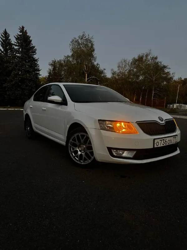 Продам skoda octavia а7 1.4 tsi 2014 г. В ✅(чешской сборки, не путайте с калугой)
Автомобиль в идеальном состоянии, двигатель 1.4 tsi обслужен от а до я,
Родной пробег 235 000 км,
Комплектация очень богатая : 2х зонный климат контроль, подогревы сидений, туманки, круиз контроль, датчик света и дождя, датчик спущенных колес, складываемые электро зеркала с подогревом, полный эл. Стекло пакет, сигнализация, кованные диски на летней резине, так же зима на родных легкосплавных дисках, тормозные диски и колодки новые(оригинал), машина не была в дтп,1 хозяин с автосалона, авто останетесь довольны, стекла все родные включая лобовое !
Стоимость авто: ✅ 890 000 рублей ✅

Телефон для связи: +7 949 485 64 94 - фотография - 3