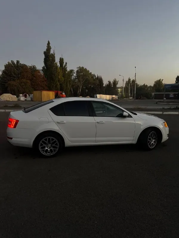 Продам skoda octavia а7 1.4 tsi 2014 г. В ✅(чешской сборки, не путайте с калугой)
Автомобиль в идеальном состоянии, двигатель 1.4 tsi обслужен от а до я,
Родной пробег 235 000 км,
Комплектация очень богатая : 2х зонный климат контроль, подогревы сидений, туманки, круиз контроль, датчик света и дождя, датчик спущенных колес, складываемые электро зеркала с подогревом, полный эл. Стекло пакет, сигнализация, кованные диски на летней резине, так же зима на родных легкосплавных дисках, тормозные диски и колодки новые(оригинал), машина не была в дтп,1 хозяин с автосалона, авто останетесь довольны, стекла все родные включая лобовое !
Стоимость авто: ✅ 890 000 рублей ✅

Телефон для связи: +7 949 485 64 94 - фотография - 4
