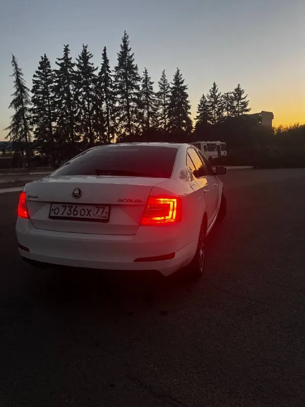 Продам skoda octavia а7 1.4 tsi 2014 г. В ✅(чешской сборки, не путайте с калугой)
Автомобиль в идеальном состоянии, двигатель 1.4 tsi обслужен от а до я,
Родной пробег 235 000 км,
Комплектация очень богатая : 2х зонный климат контроль, подогревы сидений, туманки, круиз контроль, датчик света и дождя, датчик спущенных колес, складываемые электро зеркала с подогревом, полный эл. Стекло пакет, сигнализация, кованные диски на летней резине, так же зима на родных легкосплавных дисках, тормозные диски и колодки новые(оригинал), машина не была в дтп,1 хозяин с автосалона, авто останетесь довольны, стекла все родные включая лобовое !
Стоимость авто: ✅ 890 000 рублей ✅

Телефон для связи: +7 949 485 64 94 - фотография - 5