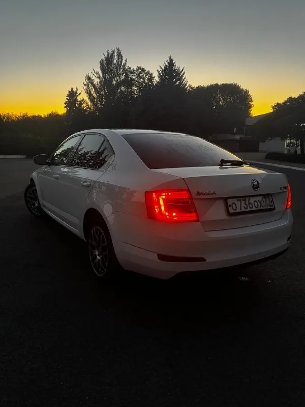 Продам skoda octavia а7 1.4 tsi 2014 г. В ✅(чешской сборки, не путайте с калугой)
Автомобиль в идеальном состоянии, двигатель 1.4 tsi обслужен от а до я,
Родной пробег 235 000 км,
Комплектация очень богатая : 2х зонный климат контроль, подогревы сидений, туманки, круиз контроль, датчик света и дождя, датчик спущенных колес, складываемые электро зеркала с подогревом, полный эл. Стекло пакет, сигнализация, кованные диски на летней резине, так же зима на родных легкосплавных дисках, тормозные диски и колодки новые(оригинал), машина не была в дтп,1 хозяин с автосалона, авто останетесь довольны, стекла все родные включая лобовое !
Стоимость авто: ✅ 890 000 рублей ✅

Телефон для связи: +7 949 485 64 94 - фотография - 6
