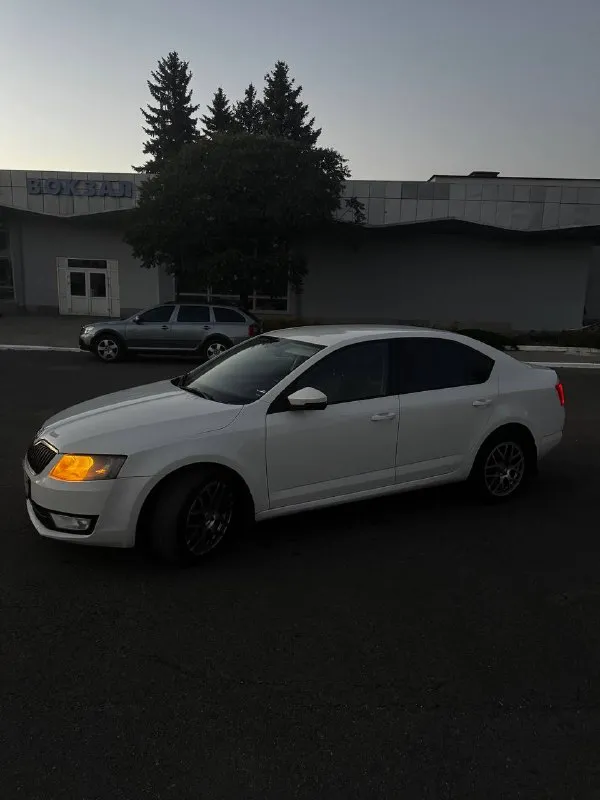Продам skoda octavia а7 1.4 tsi 2014 г. В ✅(чешской сборки, не путайте с калугой)
Автомобиль в идеальном состоянии, двигатель 1.4 tsi обслужен от а до я,
Родной пробег 235 000 км,
Комплектация очень богатая : 2х зонный климат контроль, подогревы сидений, туманки, круиз контроль, датчик света и дождя, датчик спущенных колес, складываемые электро зеркала с подогревом, полный эл. Стекло пакет, сигнализация, кованные диски на летней резине, так же зима на родных легкосплавных дисках, тормозные диски и колодки новые(оригинал), машина не была в дтп,1 хозяин с автосалона, авто останетесь довольны, стекла все родные включая лобовое !
Стоимость авто: ✅ 890 000 рублей ✅

Телефон для связи: +7 949 485 64 94 - фотография - 8