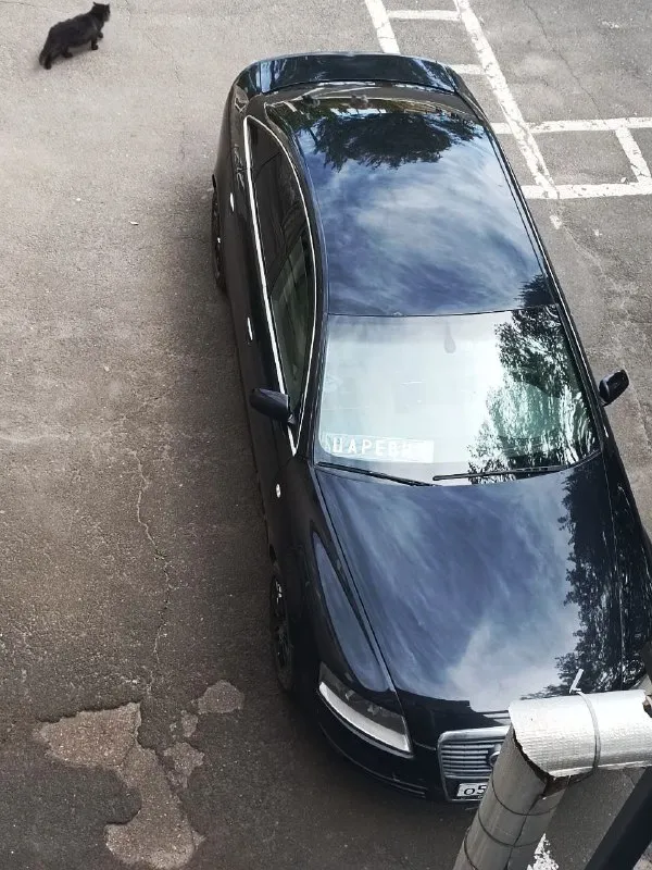 Audi а6 с6 2006г.
Цена - 700.000р
Телефон - +79895364178
Г. Донецк
По машине: мотор, коробка, ходовая не требуют вложений, кузов нужно делать.
Резина зима/лето
Я собственник, с 2023г.
📲 Tg: ❌буль терьеров❌
📞 Звоните: +7(989)5364178 - фотография - 2