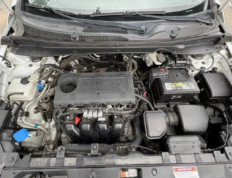 ⚪️ Kia sportage

💰Цена: 1 170 000р
🏢Город: мариуполь
📅Год выпуска: 2011
🧾Пробег: 246 661 км.
⚙️Двигатель: 2.0
⛽Топливо: бензин/газ
⚙️Кпп: механика

📞 Телефон:

+7-949-727-41-51
+7-989-263-55-56
+7-949-551-91-52

💾 Описание:

Sportage - безусло. .. Никой и полноприводной компоновкой не имеет заводских недостатков, надежный, неприхотливый и дешевый в обслуживании как и весь автомобиль.

✔️Опрятный кузов без коррозии.
✔️Два владельца, птс оригинал.
✔️Южная эксплуатация.
✔️Техническая часть на 5+
Двигатель работает ровно без расхода масла, мкпп и сцепление без нареканий, ходовая сбитая.

Отличная комплектация:
Климат контроль ❄️ (холодит отлично), мульти-руль, полный электропакет, птф, abs, airbag, гидроусилитель руля, магнитола с bluetooth, литые диски.

⛽️ Установлен форсуночный газ четвертого поколения.

Улица шевченко 269

🏦 Возможна продажа в кредит по двум документам. - фотография - 7