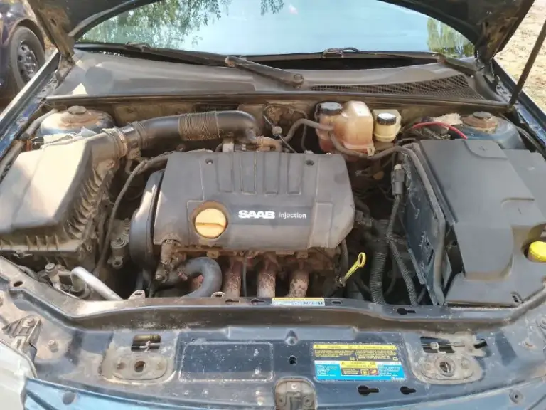 Продам: saab 9-3
🗓 :2007 Года
⛽️Вид топлива:бензин
⚙️Двигатель : 1.8
💴Цена: 550 000 ( торг у капота)
🗺️Пробег: 360 000
Коробка: механика
Описание: автомобиль на полном ходу. Сел и поехал.
Резина летняя + зимняя на титановых дисках.
Кондиционер.
Двигатель опель астра.
Машина находится в мариуполе.
Переоформление по птс
📞 🇷🇺 Звоните: +79497215129 - фотография - 7