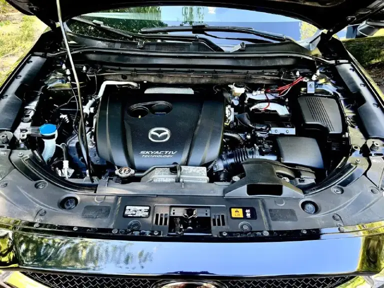 Mazda cx5 2019год
Двигатель 2.5 skyactive бензин (самый надежный)!
Родной пробег 63.000 км
Коробка передач :автомат (обычный aisin)гидротрансформатор!
Автомобиль в отличном состоянии, двигатель работает отлично, ходовая в отличном состоянии, коробка переключает без пинков, кузов целый без ржавчины и гнили. Новая резина летняя 19 колеса, эл зеркала с подогревом, обогрев переднего и заднего стекла, помощь при спуске, круиз, климат, датчики света и дождя, кожаный салон + алькантара, сабвуфер, комплект зимних ковриков и еще много чего. Машина полностью обслужена от а и до я !также нанесено керамическое покрытие!!!машина смотрится отлично !расход по городу 10-11литров, едет очень шустро !цвет черный жемчуг!цена 1000000₽
+7949-559-52-87 Также возможен обмен!
📞 Звоните: +7(949)5595287 - фотография - 5