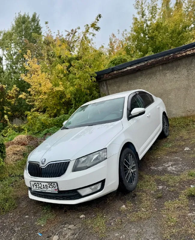 Skoda octavia а7 1.2 tsi, автомат, 2013 г. В ✅
Двигатель 4х цилиндровый, на 105 сил, не путайте с 3х цилиндрами‼️ автомобиль в отличоном состоянии, двигатель 1.2 tsi обслужен от а до я, коробка автомат dsg листает как положено без пинков и толчков!)
Родной пробег 227 000 км, комплектация: заводская система старт/стоп, задние парктроники, кондиционер (заправлен и дует как положено) подогревы сидений, туманки, датчик света и дождя, электро зеркала с подогревом, полный эл. Стекло пакет, 2 ключа, легкосплавные диски на летней резине, авто останетесь довольны ! Птс оригинал 🔥
Стоимость авто: ✅ 770 000 рублей ✅
Машина в макеевке: +79495570537
Либо +79490780102 + телеграмм
📞 Звоните: +7(949)5570537 - фотография - 2