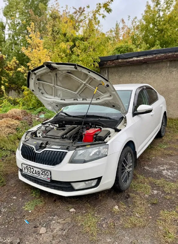 Skoda octavia а7 1.2 tsi, автомат, 2013 г. В ✅
Двигатель 4х цилиндровый, на 105 сил, не путайте с 3х цилиндрами‼️ автомобиль в отличоном состоянии, двигатель 1.2 tsi обслужен от а до я, коробка автомат dsg листает как положено без пинков и толчков!)
Родной пробег 227 000 км, комплектация: заводская система старт/стоп, задние парктроники, кондиционер (заправлен и дует как положено) подогревы сидений, туманки, датчик света и дождя, электро зеркала с подогревом, полный эл. Стекло пакет, 2 ключа, легкосплавные диски на летней резине, авто останетесь довольны ! Птс оригинал 🔥
Стоимость авто: ✅ 770 000 рублей ✅
Машина в макеевке: +79495570537
Либо +79490780102 + телеграмм
📞 Звоните: +7(949)5570537 - фотография - 5