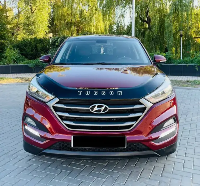 Hyundai tucson рейсталинг
Lux max
Эксплуатация с 2017 года
Двигатель 2.0 бензин
Коробка автоматическая
Пробег родной 116 тыс км.

Автомобиль в хорошем состоянии живой !!!
В ближайшем времени не требует вложений !!!
Пред максимальная комплектация,
Ухоженный салон достойный,
Датчики света, и дождя,
Подогревы всех сидений,
Подогрев зеркал и стекл,
Полный электропакет,
Большая мультимедиа,
Блютус громкая связь,
Новые летние шины,
Два пульта два ключа,
И многое другое !

С документами полный порядок,
Могу присутствовать в мрэо для
Полного переоформления,
Автотека полностью зелень 🌿

Продажа авто г. Донецк
Цена за достойное авто 1645:000 ₽
Срочно нужны финансы срочно
Срочно цена на один день такая
Таких авто единицы достойный
Срочная продажа очень срочно
Остальные вопросы по номеру
+79493969855 Ростислав - фотография - 2
