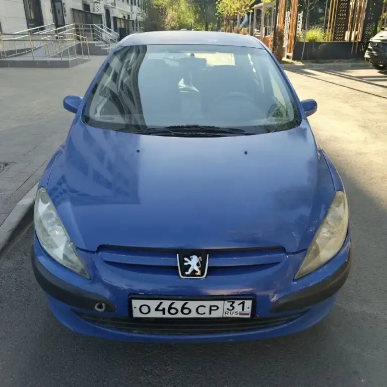 Продам автомобиль очень срочно пежо 307. 2003 год автомобиля. Машина полностью на ходу. Стеклоподъёмники, кондиционер (климат) кузов оцинкованный, двигатель коробка идеал по кузову немного надо позаниматься так машина очень хорошая и экономичная. Цена авто 280 тыс. Торг. Тел +79498019121 - фотография - 1