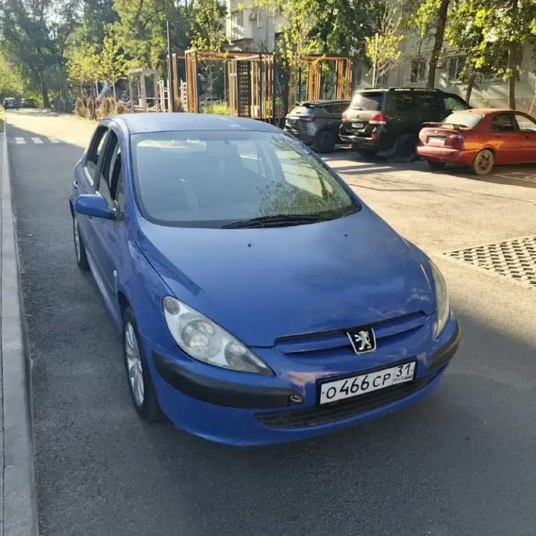 Продам автомобиль очень срочно пежо 307. 2003 год автомобиля. Машина полностью на ходу. Стеклоподъёмники, кондиционер (климат) кузов оцинкованный, двигатель коробка идеал по кузову немного надо позаниматься так машина очень хорошая и экономичная. Цена авто 280 тыс. Торг. Тел +79498019121 - фотография - 2