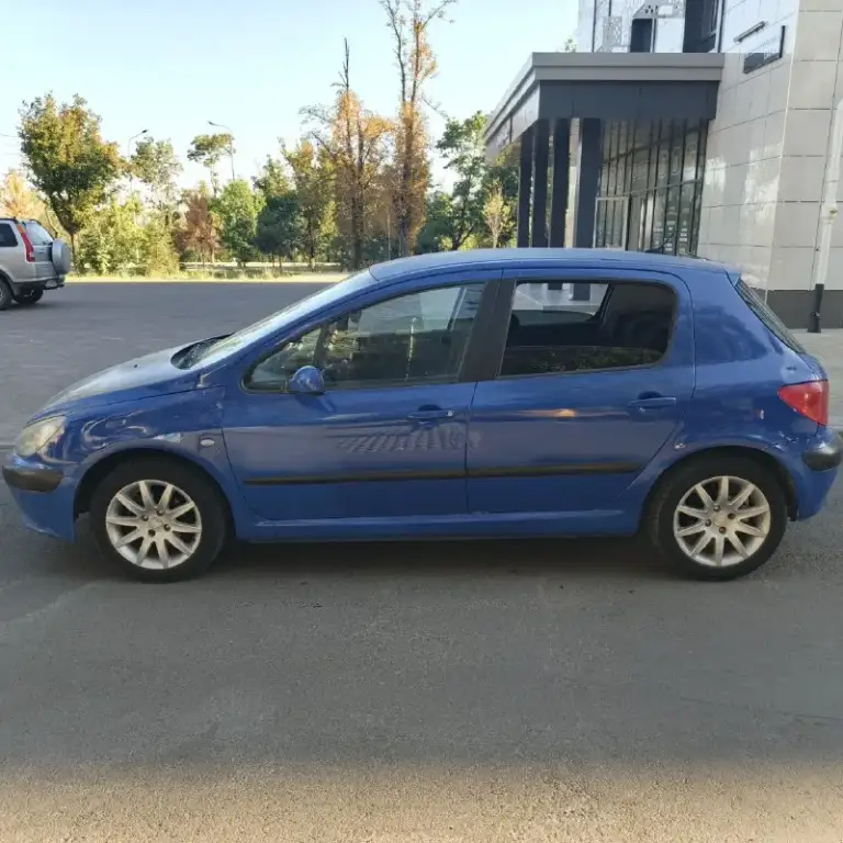 Продам автомобиль очень срочно пежо 307. 2003 год автомобиля. Машина полностью на ходу. Стеклоподъёмники, кондиционер (климат) кузов оцинкованный, двигатель коробка идеал по кузову немного надо позаниматься так машина очень хорошая и экономичная. Цена авто 280 тыс. Торг. Тел +79498019121 - фотография - 4