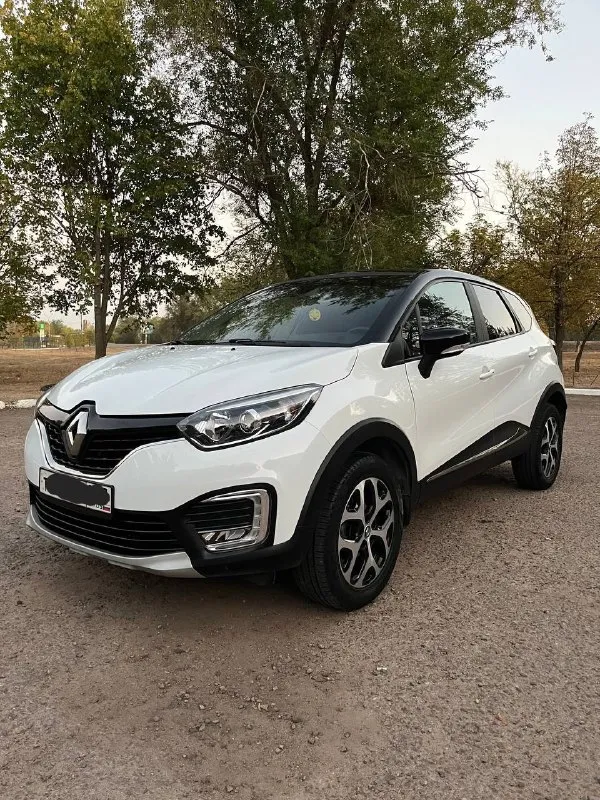 Продается renault kaptur 2018 года выпуска, 1.6 бензин, автомат. Автомобиль имеет состояние новой машины!!! 87 тысяч км родного пробега !!! Последнее обслуживание - поменяна вся тормозная система ( диски, колодки, суппорта ), новая рулевая рейка !!! Бензин только 95-й !!! Двигатель работает идеально, замена масла каждые 7 тысяч км !!! Комплектация : подогревы сидений, датчики дождя и света, 2 комплекта резины на дисках, 2 ключа, все 4 стеклоподъемники, курсовая устойчивость, круиз-контроль, бортовой компьютер, start-stop, эра-глонасс, электрообогрев зеркал, дневные ходовые огни, сигнализация starline, система помощи при старте, abs, asr, камера заднего вида, мультируль, usb, aux, bluetooth. Цена автомобиля 1 млн. 380 тысяч рублей-обоснованный торг у автомобиля !!! Возможна продажа в кредит, номер телефона +79591357039, луганск
📞 Звоните: +7(959)1357039 - фотография - 1