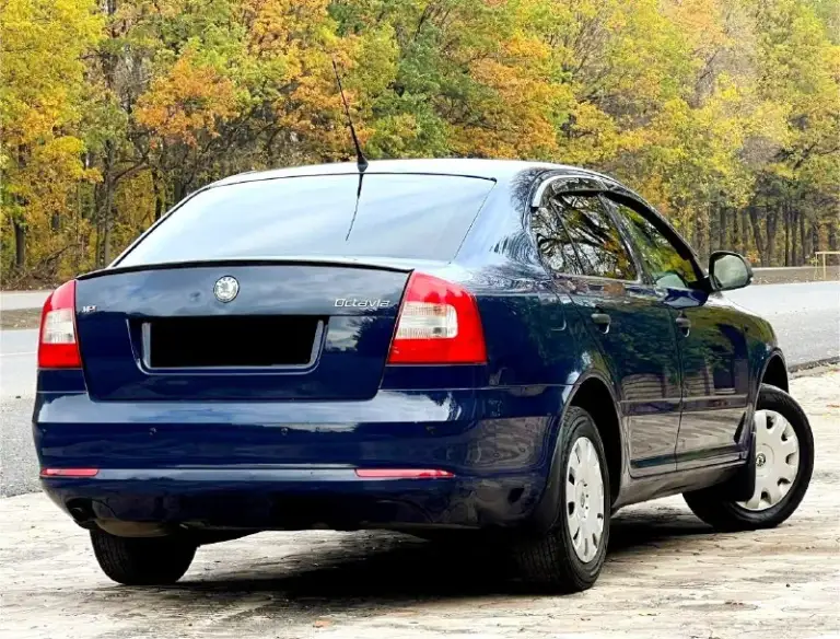 Продам skoda октавия а5 рестайлинг 2010 года в идеальном состоянии не крашена 177 тыс. Км родной пробег без гнили и дыр полностью обслужена мотор 1.6 mpi не дымит не троит работает отлично кпп без нареканий ходовая отлично два ключа новый аккумулятор авто-тека зелёная авто без дтп остальные вопросы по телефону+79494660885 +79498056656 реальному покупателю хороший торг цена 875 тыс.
📞 Звоните: +7(949)4660885 - фотография - 3