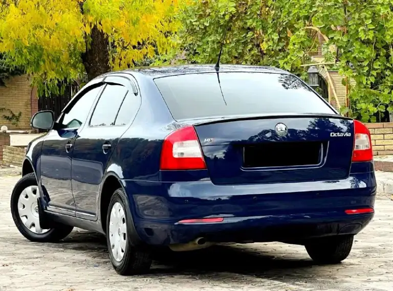 Продам skoda октавия а5 рестайлинг 2010 года в идеальном состоянии не крашена 177 тыс. Км родной пробег без гнили и дыр полностью обслужена мотор 1.6 mpi не дымит не троит работает отлично кпп без нареканий ходовая отлично два ключа новый аккумулятор авто-тека зелёная авто без дтп остальные вопросы по телефону+79494660885 +79498056656 реальному покупателю хороший торг цена 875 тыс.
📞 Звоните: +7(949)4660885 - фотография - 4