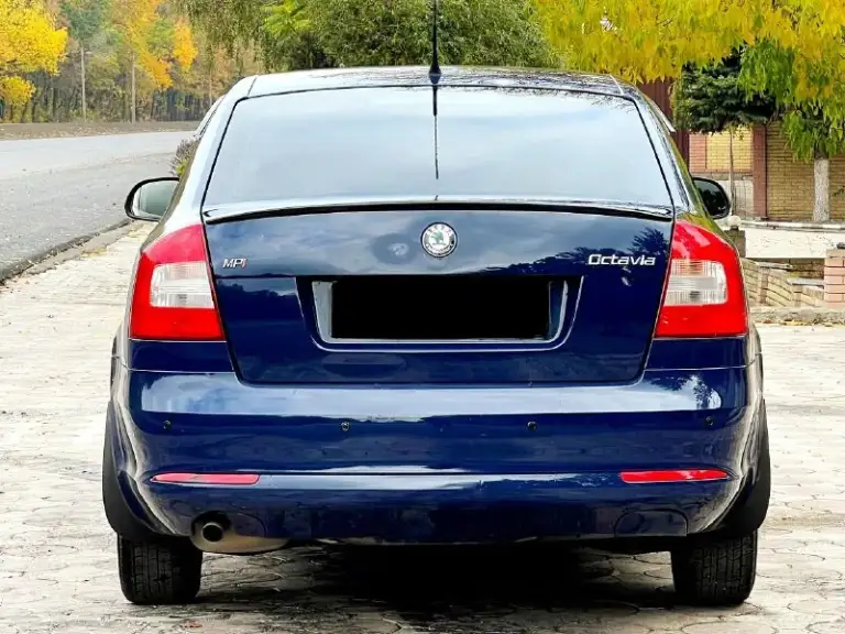 Продам skoda октавия а5 рестайлинг 2010 года в идеальном состоянии не крашена 177 тыс. Км родной пробег без гнили и дыр полностью обслужена мотор 1.6 mpi не дымит не троит работает отлично кпп без нареканий ходовая отлично два ключа новый аккумулятор авто-тека зелёная авто без дтп остальные вопросы по телефону+79494660885 +79498056656 реальному покупателю хороший торг цена 875 тыс.
📞 Звоните: +7(949)4660885 - фотография - 6