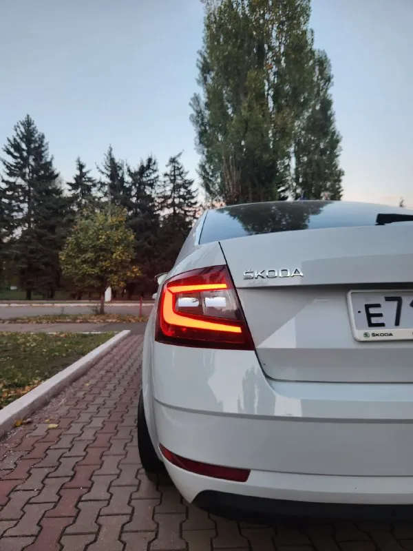 Продам официальный skoda octavia a7 fl, 2020 г. В. , 1.4 tsi(150 л. С. /250 нм), 7 ркпп. 130ткм пробег, обслужена (на 120 замена грм(contitech), на 125 замена сцепления и маховика+ масло в кпп), ухоженная, в идельном состоянии, родной краске. Новый акум inci aku. Ничего не крутилось, не разбиралось, не снималось. Масло каждые 7.5 тыс, свечи каждые 30 тыс. Гаражное хранение. 2 комплекта новой резины nokian, 2 комплекта оригинальных ковров. Электронный птс
Автотека зеленая. Экономичный (трасса 5л, город 7,4л), резвый(разгон 8сек).
-Led головной свет с автокоррекцией, омыватели фар, атмосферная подсветка салона.
-Led приборка(4 стиля с возможностью настройки), мультируль.
- Головное устройство с carplay/android авто(навигация и музыка на экране).
-Датчик света, дождя, мертвых зон.
-Обогревы: руль, сиденья, лобовое.
- Камера с омывателем и динамической траэкторией
-Парктроники: перед, зад+ экстренное торможение.
- Розетка 220.
- Круиз контроль.
- Автозатемнение, автоскладывание
📞 Звоните: +7(949)3704018 - фотография - 3