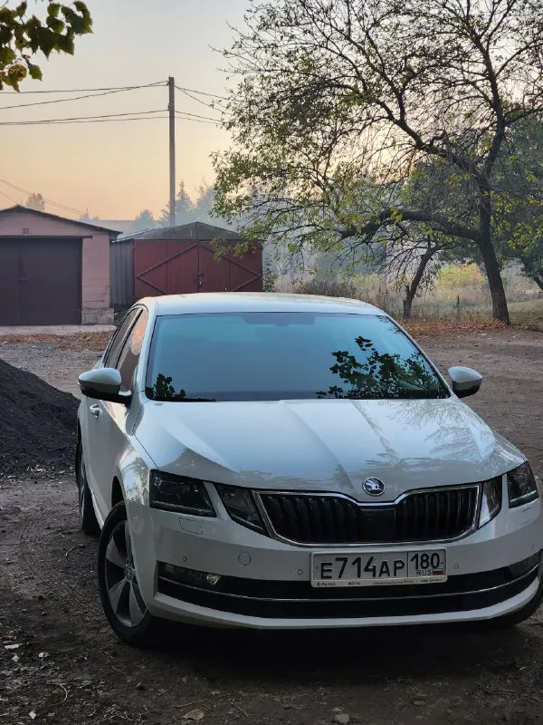 Продам официальный skoda octavia a7 fl, 2020 г. В. , 1.4 tsi(150 л. С. /250 нм), 7 ркпп. 130ткм пробег, обслужена (на 120 замена грм(contitech), на 125 замена сцепления и маховика+ масло в кпп), ухоженная, в идельном состоянии, родной краске. Новый акум inci aku. Ничего не крутилось, не разбиралось, не снималось. Масло каждые 7.5 тыс, свечи каждые 30 тыс. Гаражное хранение. 2 комплекта новой резины nokian, 2 комплекта оригинальных ковров. Электронный птс
Автотека зеленая. Экономичный (трасса 5л, город 7,4л), резвый(разгон 8сек).
-Led головной свет с автокоррекцией, омыватели фар, атмосферная подсветка салона.
-Led приборка(4 стиля с возможностью настройки), мультируль.
- Головное устройство с carplay/android авто(навигация и музыка на экране).
-Датчик света, дождя, мертвых зон.
-Обогревы: руль, сиденья, лобовое.
- Камера с омывателем и динамической траэкторией
-Парктроники: перед, зад+ экстренное торможение.
- Розетка 220.
- Круиз контроль.
- Автозатемнение, автоскладывание
📞 Звоните: +7(949)3704018 - фотография - 5