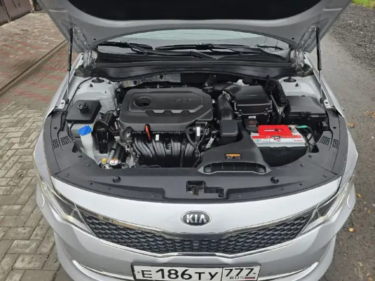 Kia optima gt
1975.000
+79289056462
147 Родной подтверждённый пробег
Полностью зелёная автотека
Здравствуйте, продаю kia optima в максимальной комплектации и в идеальном состоянии. 🥳
В таком состоянии, думаю осталось очень мало optim gt line.
И так, машина полностью в заводском окрасе. Без единой крашеной детали. ✅️
Один хозяин. ✅️
147 Т км родной подтверждённый пробег. ✅️
Полностью зелёная автотека ✅️
Обслужена и не требует вложений, все длалось и менялось вовремя. ✅️
Родной птс ✅️
Родное остекление и лобовое в том числе ✅️
Для тех кто ищет, целую и ухоженную машину. 🥳
Двигатель работает на 5+. Реально без употребления масла. Замена каждые 6-7 т км. И советую так и менять с такой периодичностью. 👌
Акпп переключает очень мягко и быстро. Была замена масла, частичная на 60 т км и на 120 т км. Следующая замена на 180 т км. 👌 - фотография - 6