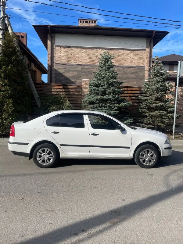 Skoda octavia 1.6 fsi 2007 механика
Цена: 650 тысяч рублей (торг)
Номер: +79494771813

Продается шкода октавия а5 1.6 fsi на механической коробке передач. Хозяйская, была все время в одной семье, фактически один владелец. Ездила исключительно по краснодару, поэтому днище с порогоми сохранились максимально хорошо. Состояние близко к идеалу, имеются жизненные скольчики и небольшая вмятина на капоте, но это мелочи на фоне общего состояния авто. Родной окрас, машина без дтп. По технической части вопросов нет, все работает и едет как надо. Двигатель не шумит, не троит, тянет машину хорошо. Все передачи работают. Печка жарит, кондиционер холодит. По электрике вопросов так же нет, все работает, музыка играет хорошо. Была замена обшивки потолка, старая провисла, частая проблема старых вагов. Поставил кожаный руль заместо пластикового, сделал хим чистку сидений, салон выглядит отлично, очень чистый и аккуратный. Резина летняя перели 23 года на прикольных 15-ых дисках. - фотография - 5