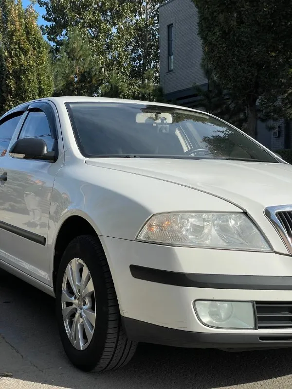 Skoda octavia 1.6 fsi 2007 механика
Цена: 650 тысяч рублей (торг)
Номер: +79494771813

Продается шкода октавия а5 1.6 fsi на механической коробке передач. Хозяйская, была все время в одной семье, фактически один владелец. Ездила исключительно по краснодару, поэтому днище с порогоми сохранились максимально хорошо. Состояние близко к идеалу, имеются жизненные скольчики и небольшая вмятина на капоте, но это мелочи на фоне общего состояния авто. Родной окрас, машина без дтп. По технической части вопросов нет, все работает и едет как надо. Двигатель не шумит, не троит, тянет машину хорошо. Все передачи работают. Печка жарит, кондиционер холодит. По электрике вопросов так же нет, все работает, музыка играет хорошо. Была замена обшивки потолка, старая провисла, частая проблема старых вагов. Поставил кожаный руль заместо пластикового, сделал хим чистку сидений, салон выглядит отлично, очень чистый и аккуратный. Резина летняя перели 23 года на прикольных 15-ых дисках. - фотография - 7