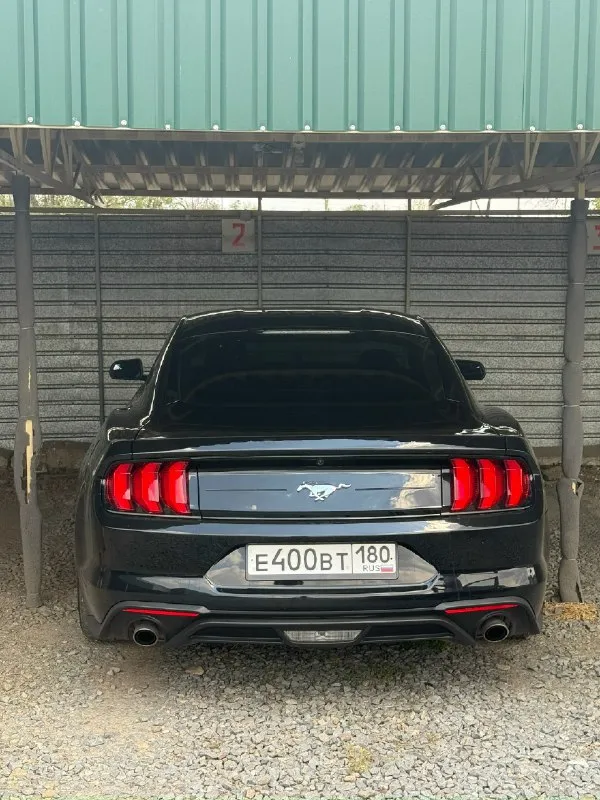 🚗 Продам ford мустанг год: 2018 тип кпп: автоматическая пробег: 28000 км дополнительная информация: продается красавчик! Машина для мажоров и эгоистов. Продам ford мустанг 2018 года выпуска. Объём двигателя 2.3t литров. Машина в хорошем состоянии технически полностью исправна, вложений никаких не требует. Пригнан из сша, 2 хозяин в днр. На рф учёт станет без проблем на нового хозяина. Цена 2🍋900.000 рублей машина стоит своих денег днр харцызск - донецк номер телефона +7(949)3248615 телеграмм +79993894175
📞 Звоните: +7(949)3248615 - фотография - 1