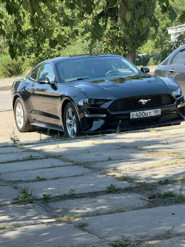 🚗 Продам ford мустанг год: 2018 тип кпп: автоматическая пробег: 28000 км дополнительная информация: продается красавчик! Машина для мажоров и эгоистов. Продам ford мустанг 2018 года выпуска. Объём двигателя 2.3t литров. Машина в хорошем состоянии технически полностью исправна, вложений никаких не требует. Пригнан из сша, 2 хозяин в днр. На рф учёт станет без проблем на нового хозяина. Цена 2🍋900.000 рублей машина стоит своих денег днр харцызск - донецк номер телефона +7(949)3248615 телеграмм +79993894175
📞 Звоните: +7(949)3248615 - фотография - 2