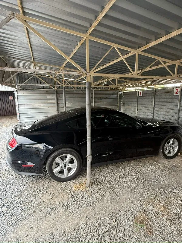 🚗 Продам ford мустанг год: 2018 тип кпп: автоматическая пробег: 28000 км дополнительная информация: продается красавчик! Машина для мажоров и эгоистов. Продам ford мустанг 2018 года выпуска. Объём двигателя 2.3t литров. Машина в хорошем состоянии технически полностью исправна, вложений никаких не требует. Пригнан из сша, 2 хозяин в днр. На рф учёт станет без проблем на нового хозяина. Цена 2🍋900.000 рублей машина стоит своих денег днр харцызск - донецк номер телефона +7(949)3248615 телеграмм +79993894175
📞 Звоните: +7(949)3248615 - фотография - 3