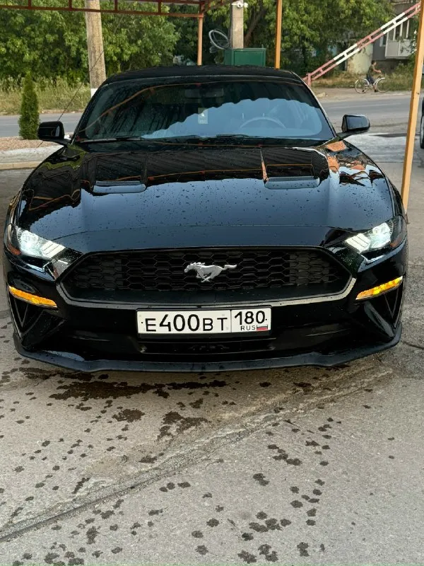 🚗 Продам ford мустанг год: 2018 тип кпп: автоматическая пробег: 28000 км дополнительная информация: продается красавчик! Машина для мажоров и эгоистов. Продам ford мустанг 2018 года выпуска. Объём двигателя 2.3t литров. Машина в хорошем состоянии технически полностью исправна, вложений никаких не требует. Пригнан из сша, 2 хозяин в днр. На рф учёт станет без проблем на нового хозяина. Цена 2🍋900.000 рублей машина стоит своих денег днр харцызск - донецк номер телефона +7(949)3248615 телеграмм +79993894175
📞 Звоните: +7(949)3248615 - фотография - 4