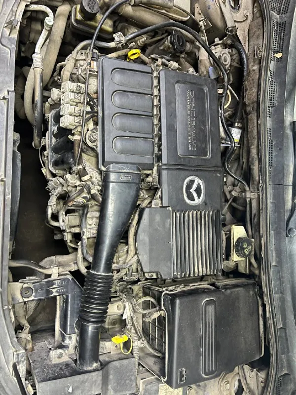 Продам
Mazda 3
1.6 Газ/бензин
Мкпп
2006 Г. В.
290.000 Родного пробега
Не гнилая, без рыжиков
Хорошее состояние салона + установлены дорогие чехлы
Хорошая музыка
Передачи включаются идеально, двигатель работает хорошо
Ходовая не гремит и не стучит
Хорошая зимняя резина
Полное переоформление
380.000₽
Донецк
+79493170855 - фотография - 7